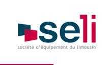 Logo Seli